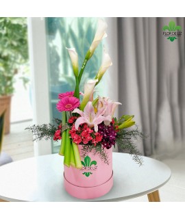 CAJA DECORADA MEDIA LUNA